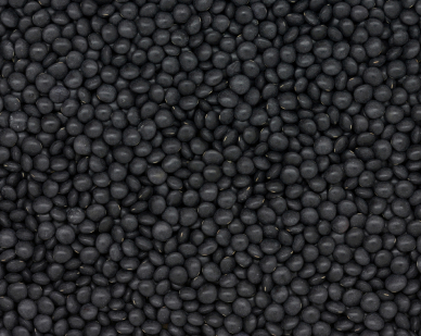 lentils