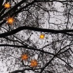 christmas stars by Flickr user mararie (Creative Commons license)