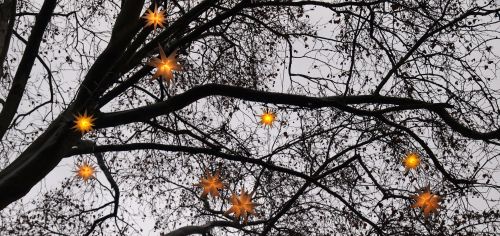 christmas stars by Flickr user mararie (Creative Commons license)